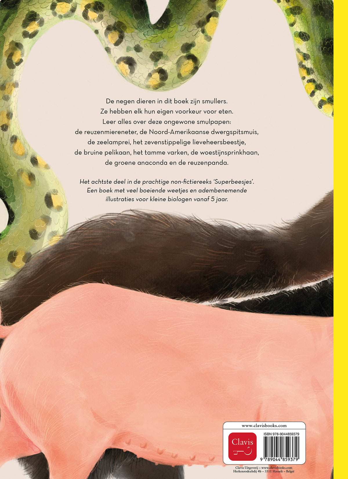 cover_back