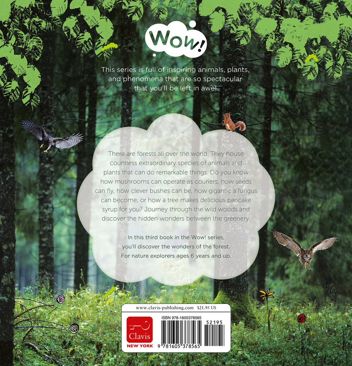 cover_back