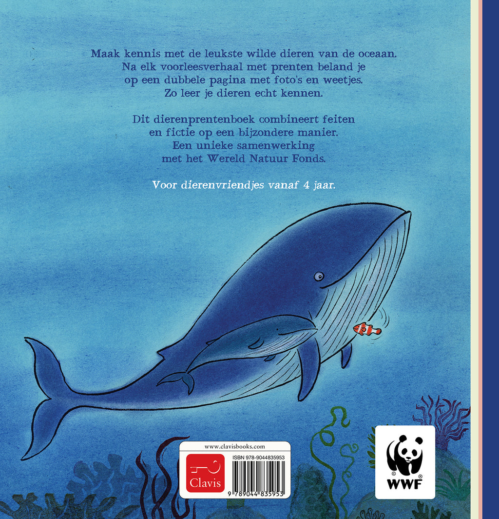 cover_back