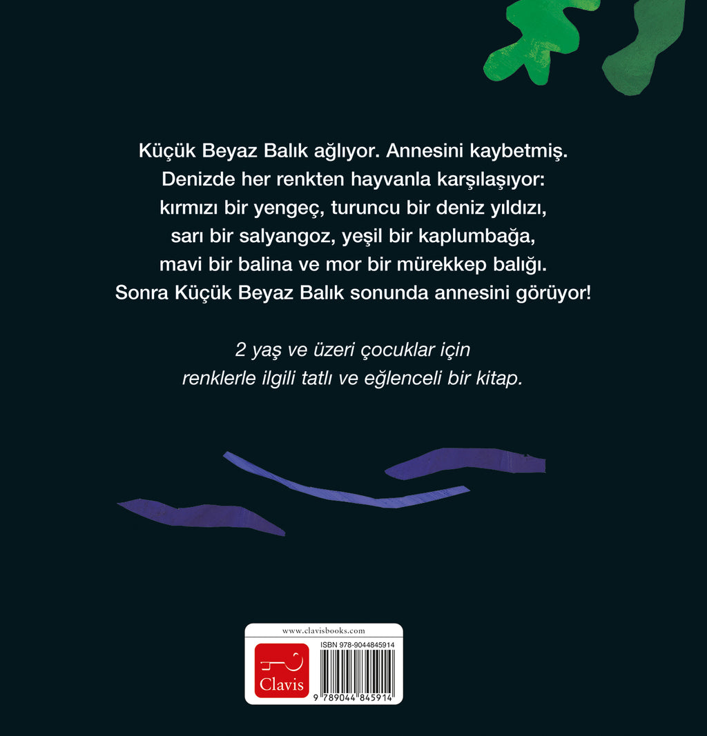 cover_back