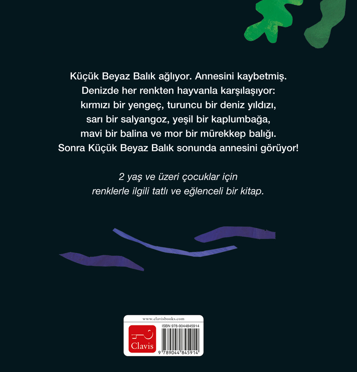 cover_back