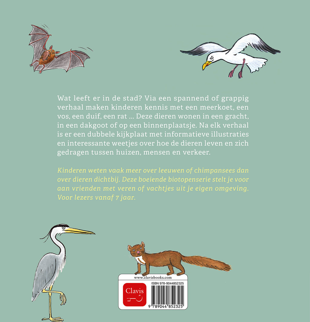 cover_back