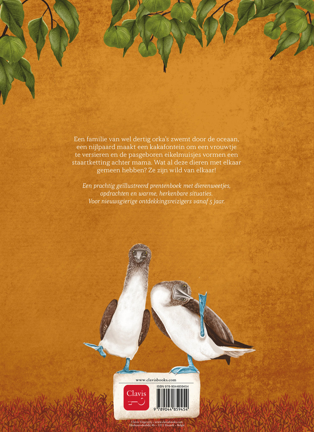 cover_back