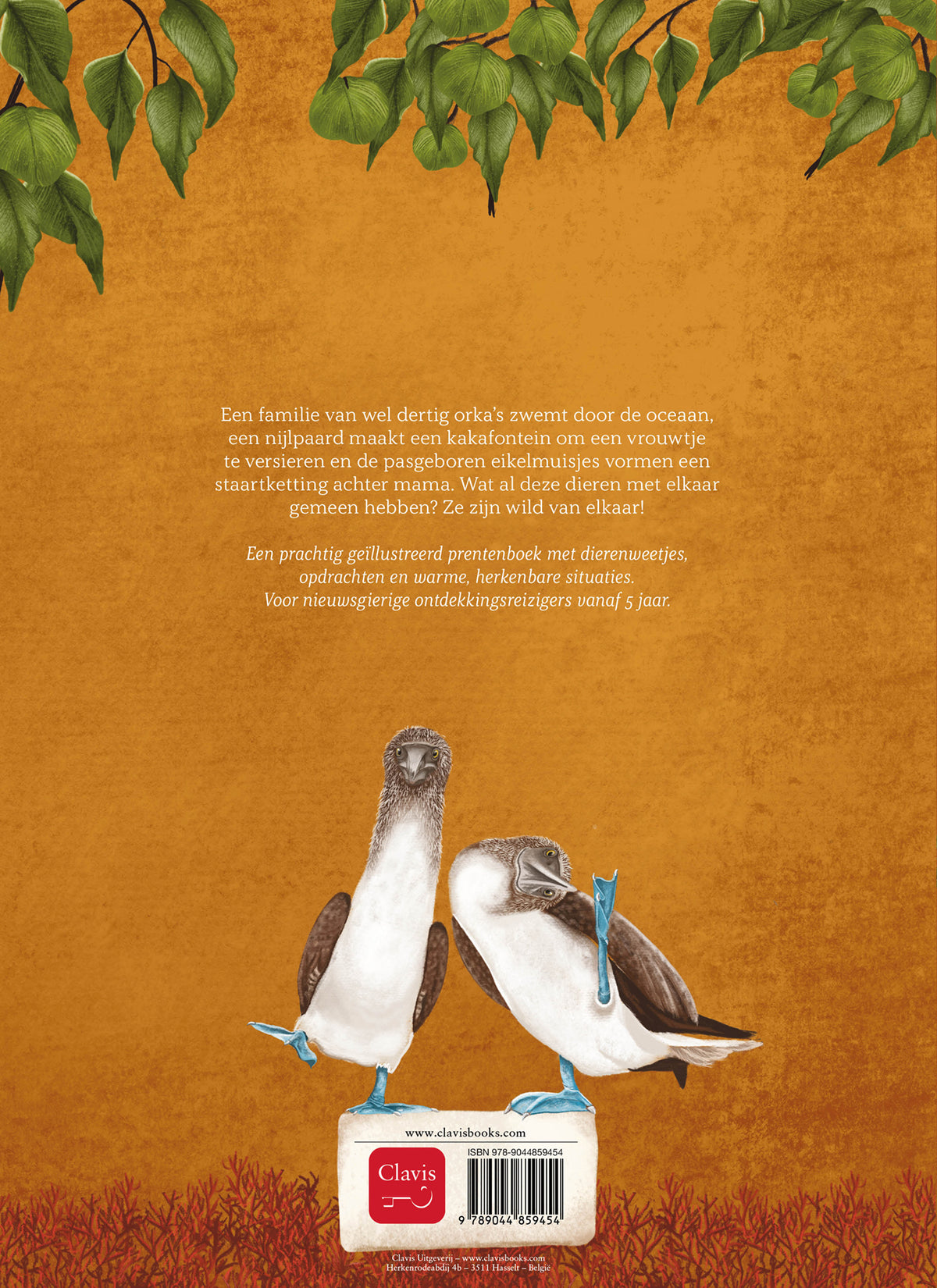 cover_back