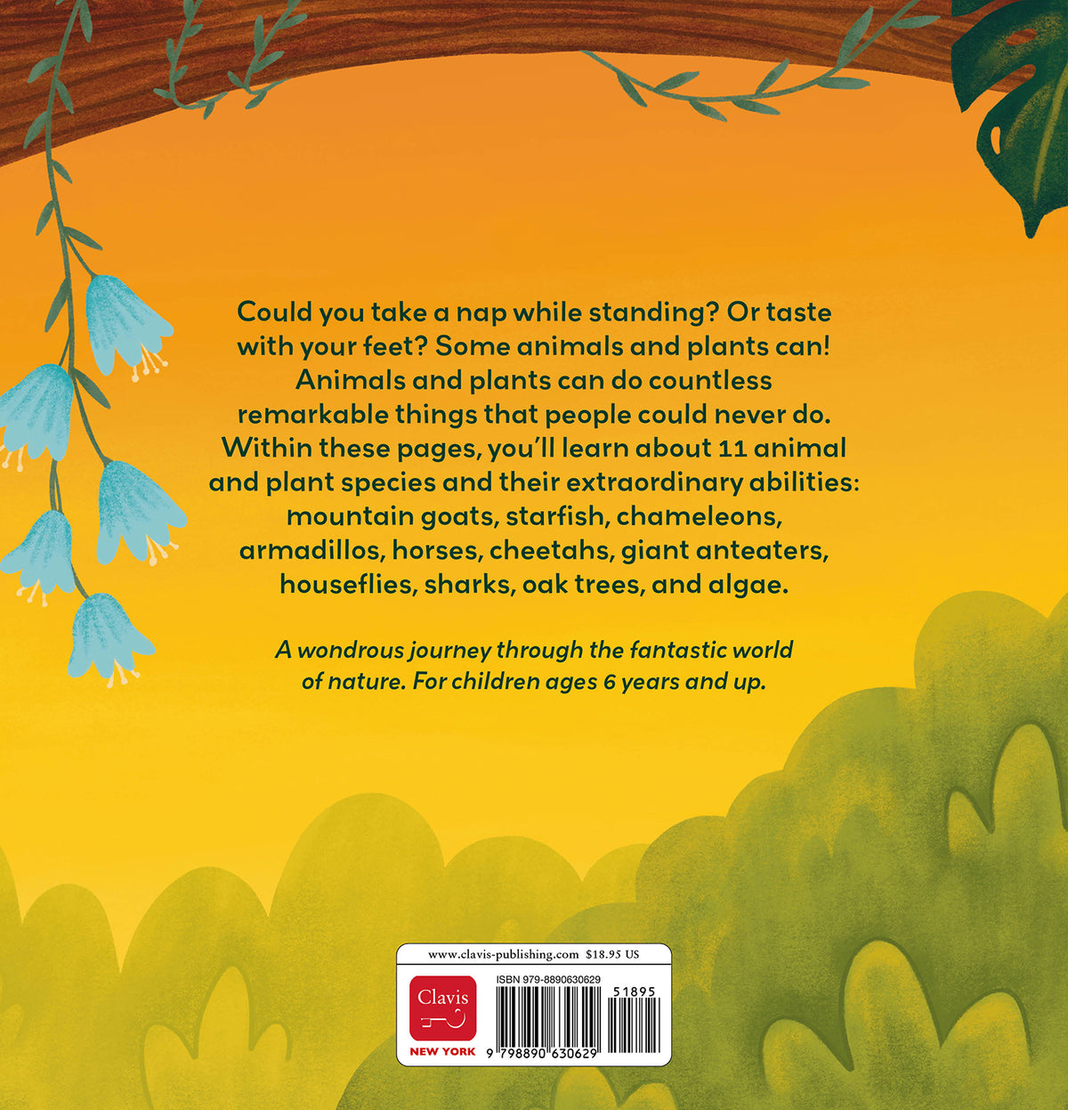 cover_back