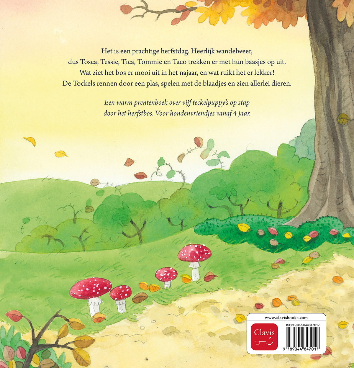 cover_back