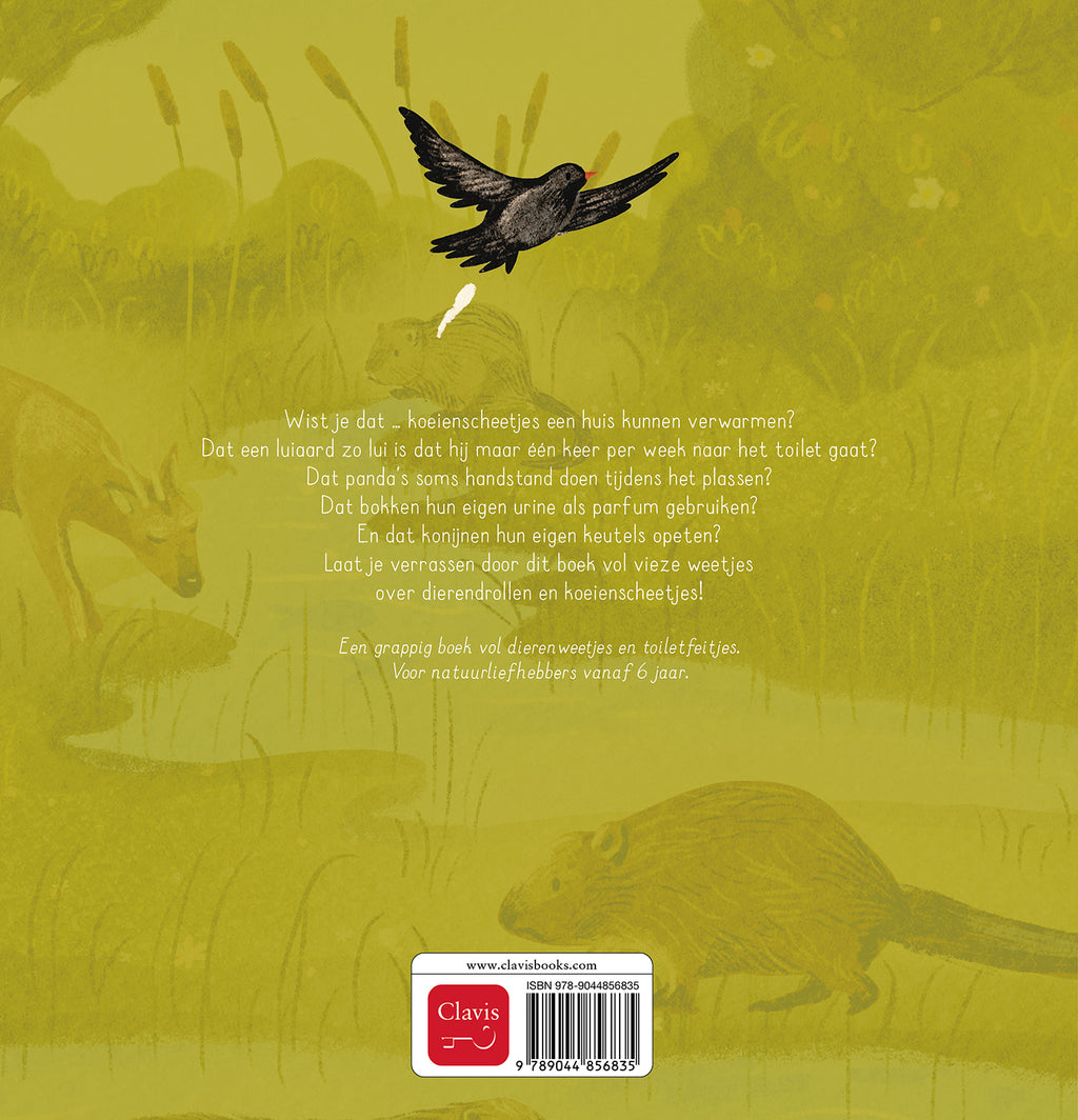 cover_back